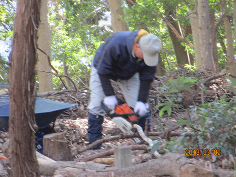 枝は持ち運びしやすいように切ります