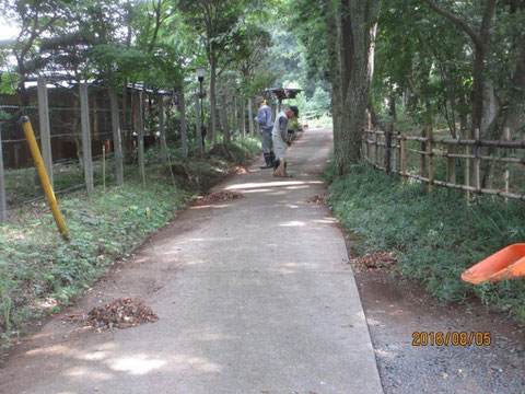 今日も活動の始めは道路の清掃からです