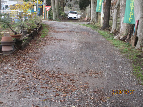 周辺道路も落ち葉が沢山落ちています