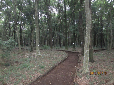 今にも雨が降りそうな活動地です