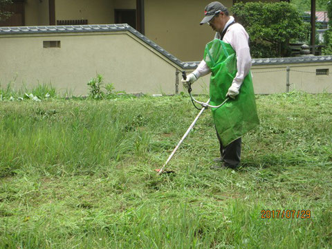 直ぐに草で覆われてしまいます