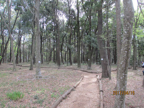 画像では見えませんが、活動地内も強風が吹荒れていました