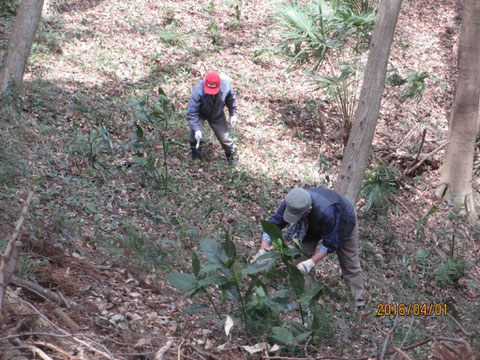 斜面地の作業は大変です