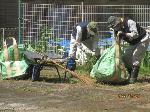 雑草取りも大変です