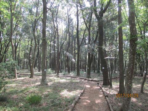 気持ちの良い活動地の朝です