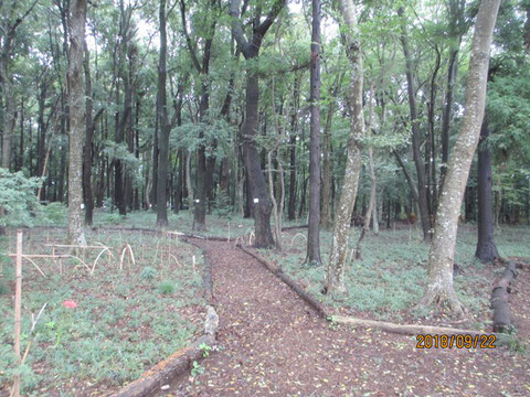 曇り模様の活動地の朝