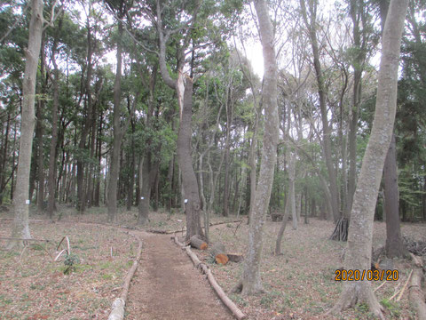 強風が吹き荒れていた活動地