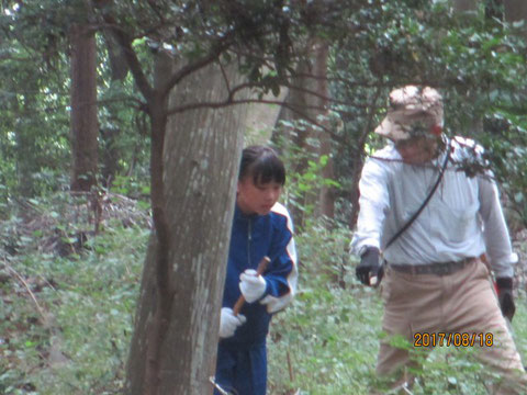 作業中に植物の説明を受けます