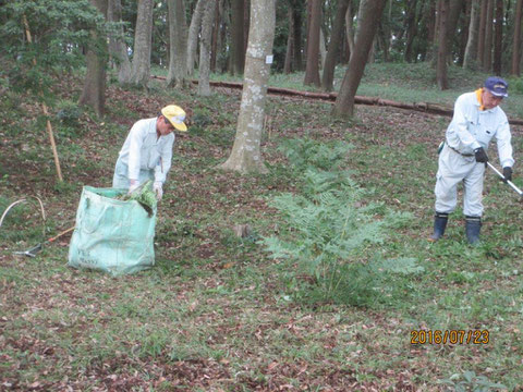 刈った後の草の片付が結構大変です