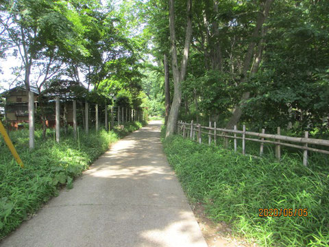 きれいに清掃された周辺道路