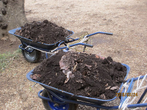 余った腐葉土は他の場所に堆積します