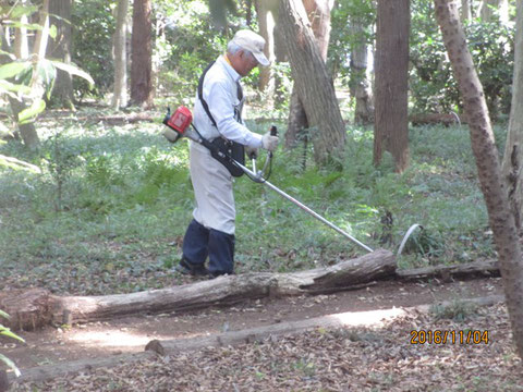 残す植物に注意しながらの機械刈りです