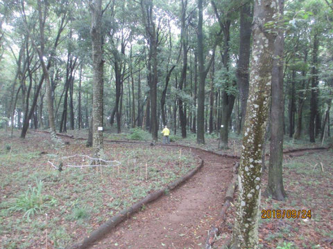 じめじめした活動地の朝です