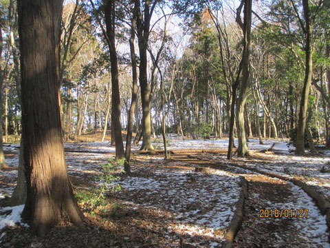 まだ雪が残っています