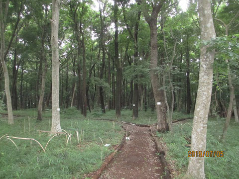 曇り空の活動地