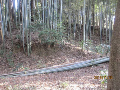 伐り倒した木や竹は、後日、市が回収するとのこと