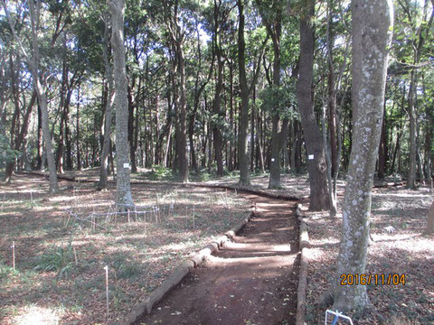 気持ちの良い朝日が差し込んでいる活動地