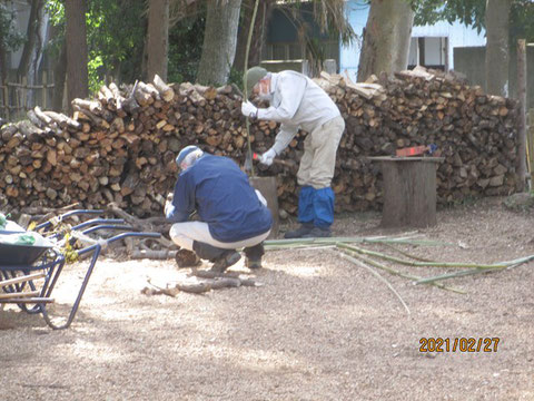 丸太を固定する杭作りや竹柵を作っています