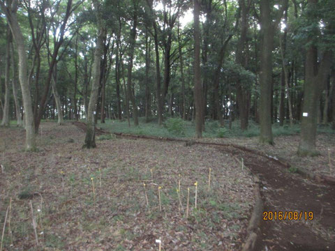 活動地は朝の内は曇っていました