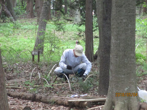 貴重種の確認と保存作業です