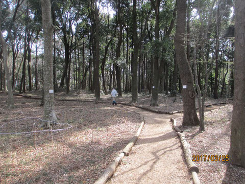 日差しは更に春めいてきました