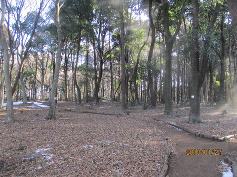 活動地の朝