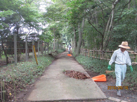 今日も活動地周辺の道路の清掃から開始です