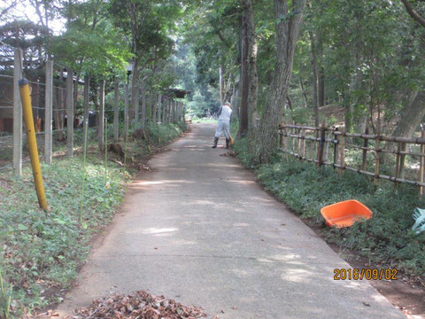 今日も内外の通路の清掃からです