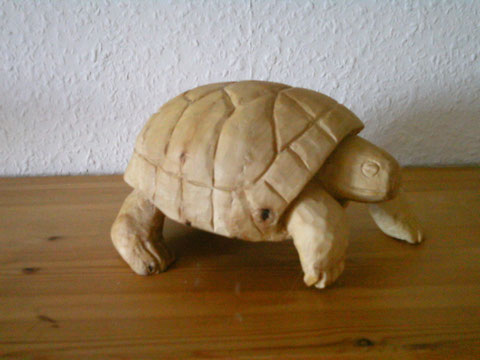 Schildkröte aus Buche ,23 cm Lang.