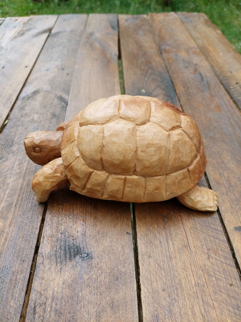 Schildkröte aus Ahornholz 25 cm