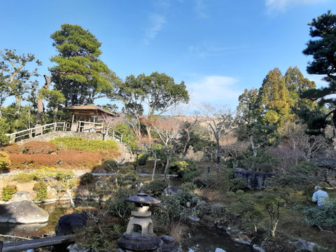 重厚な「旧正法院家住宅」の東側に池が広がる形の庭園 季節の花が楽しめます。京都観光タクシー永田信明