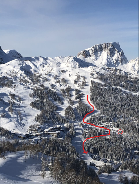 Lage Almhaus Bachmann neben Skipiste Nr 40 - Nassfeld