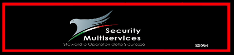 Istituto di Vigilanza  securitymultiservices