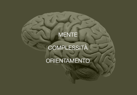 Marco Maiani - Concept