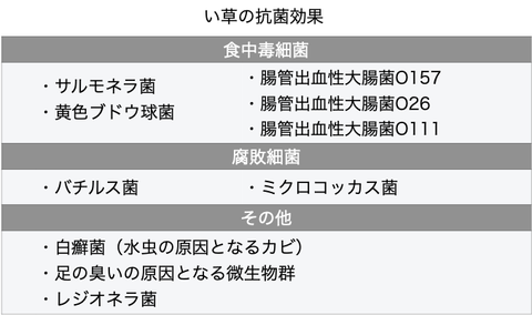 （出典：北九州市立大学　森田研究室）