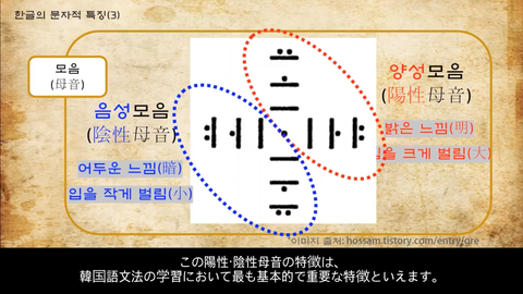 第６回より