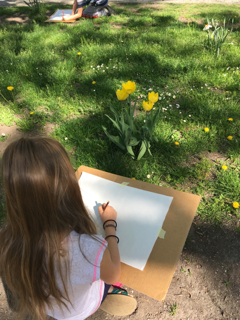 Naturstudie, Zeichnen im Freien 