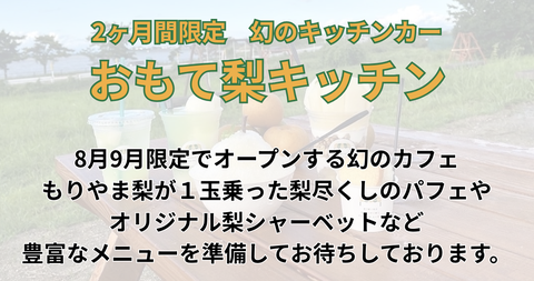 おもて梨キッチン　8月、9月の2ヶ月間限定でオープンする幻のカフェ・もりやま梨が1玉乗った梨尽くしのパフェはSNS映え抜群！　梨ソーダフロートやかき氷、シャーベットなど、豊富なメニューを準備してお待ちしております。