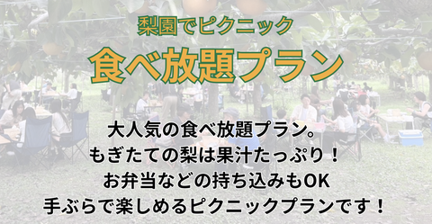 梨園でピクニック　収穫体験プラン
