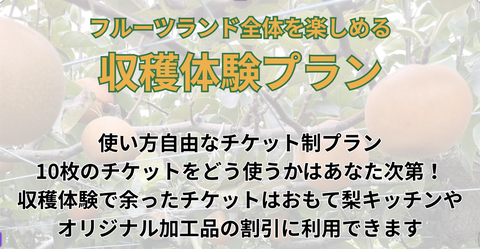 フルーツランド全体を楽しめる　収穫体験プラン