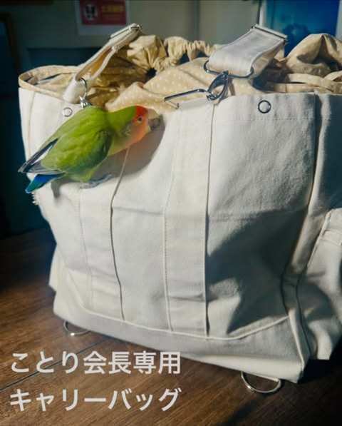 オーダーメイド 3wayリュックバッグ（鳥・小動物用）