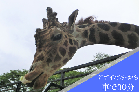 宇都宮動物園　東京デザインセンター　栃木県家具　鹿沼市　東京インテリア