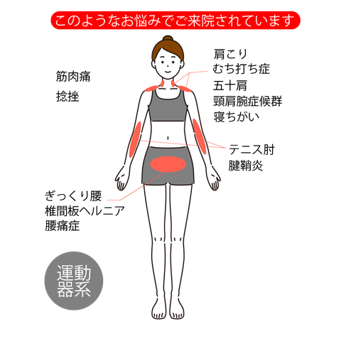 運動器系  五十肩、むち打ち症、頸肩腕症候群、腰痛症、ギックリ腰、椎間板ヘルニア、変形性膝関節症、肩こり、寝ちがい、筋肉痛、捻挫、テニス肘、腱鞘炎