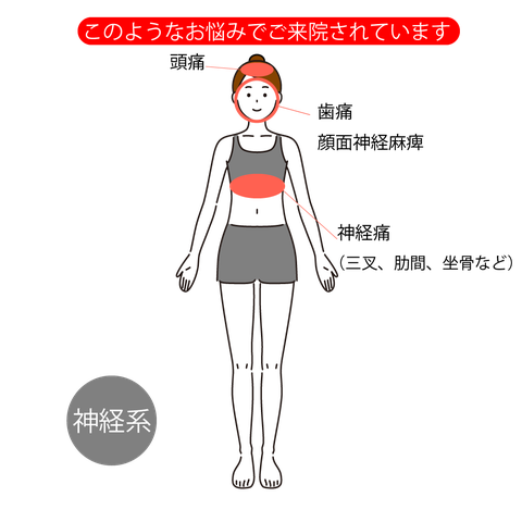 神経系  神経痛（三叉、肋間、坐骨など）、頭痛、歯痛、顔面神経麻痺