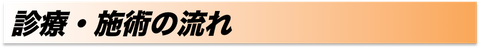 診療・施術の流れ