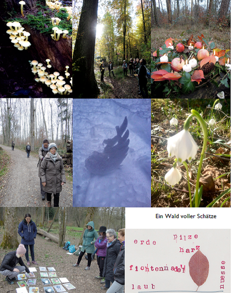 die ressourcenstärkende Bedeutung naturbezogner Umweltbildung im Wald