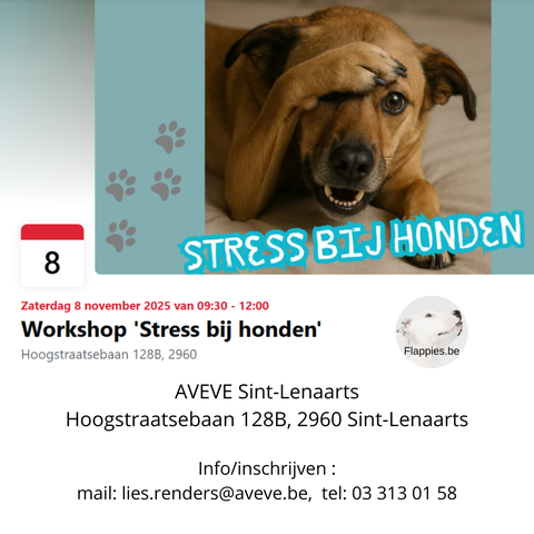 Stress bij honden