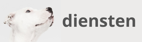 Flappies Hondentraining - diensten