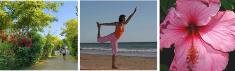 Yoga, Yogaferien, Yogareisen, Yoga Retreat, Andalusien, Spanien, Andalucia, Spain