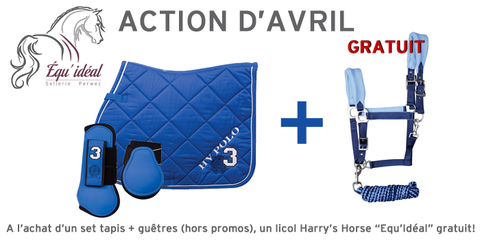 ACTION DU MOIS  A l’achat d’un set tapis + guêtres (hors promos), un licol Harry’s Horse “Equ’Idéal” gratuit!